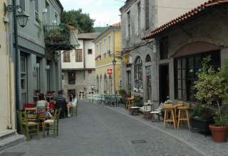 palia poli trapez1-web