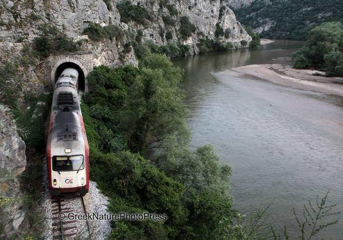 treno nestos