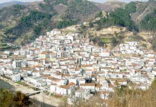 exinos